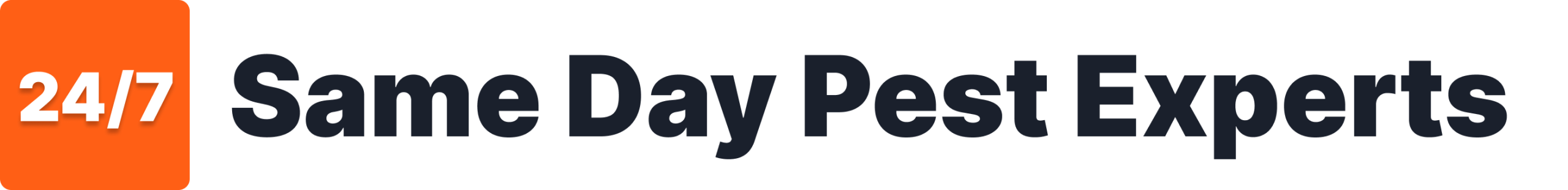 Same Day Pest Experts